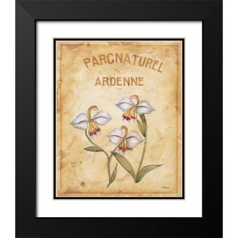 Parcnaturel II Black Modern Wood Framed Art Print with Double Matting by Linza, Loretta