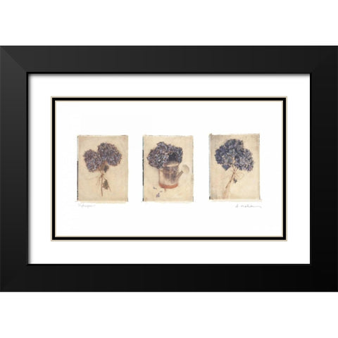 Hydrangeas Black Modern Wood Framed Art Print with Double Matting by Melious, Amy