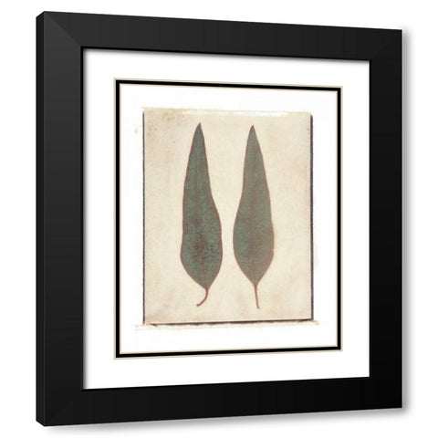 Two Leaves Black Modern Wood Framed Art Print with Double Matting by Melious, Amy