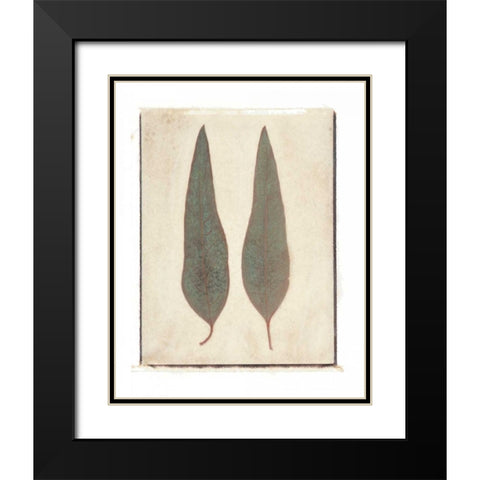 Two Leaves Black Modern Wood Framed Art Print with Double Matting by Melious, Amy