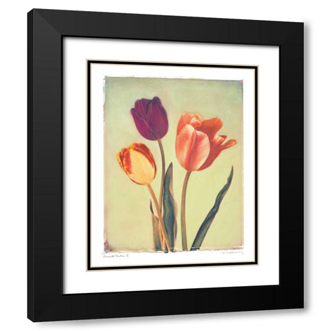 Concerto Verde I Black Modern Wood Framed Art Print with Double Matting by Melious, Amy