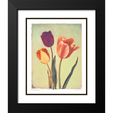 Concerto Verde I Black Modern Wood Framed Art Print with Double Matting by Melious, Amy