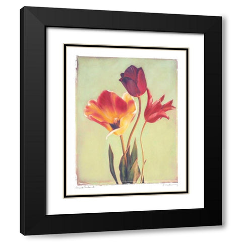 Concerto Verde II Black Modern Wood Framed Art Print with Double Matting by Melious, Amy