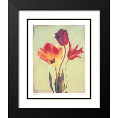 Concerto Verde II Black Modern Wood Framed Art Print with Double Matting by Melious, Amy