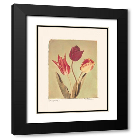 Spring Color I Black Modern Wood Framed Art Print with Double Matting by Melious, Amy