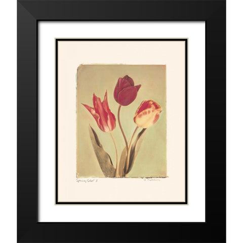 Spring Color I Black Modern Wood Framed Art Print with Double Matting by Melious, Amy