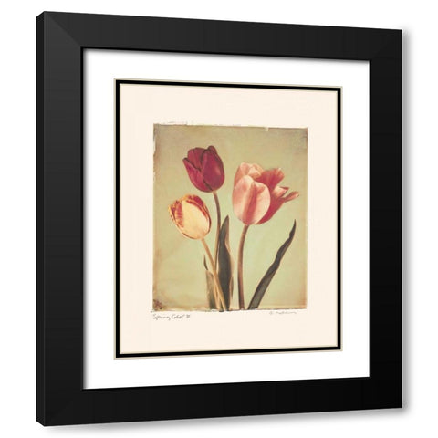 Spring Color II Black Modern Wood Framed Art Print with Double Matting by Melious, Amy