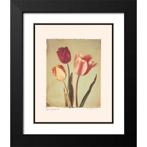 Spring Color II Black Modern Wood Framed Art Print with Double Matting by Melious, Amy