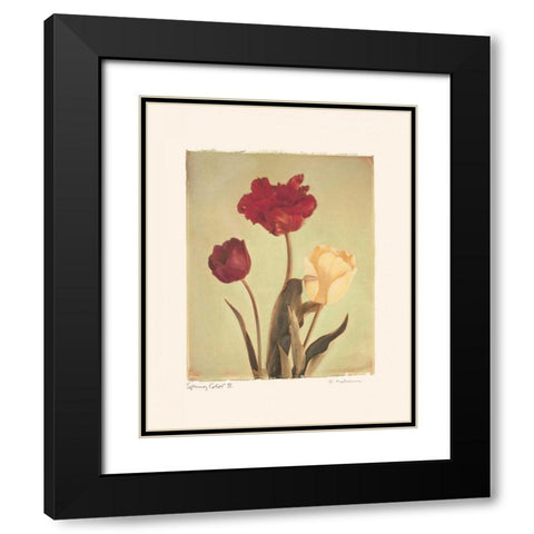 Spring Color IV Black Modern Wood Framed Art Print with Double Matting by Melious, Amy