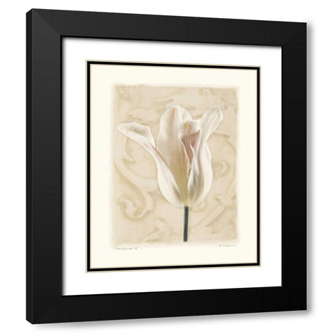 Chiaroscuro II Black Modern Wood Framed Art Print with Double Matting by Melious, Amy