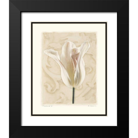 Chiaroscuro II Black Modern Wood Framed Art Print with Double Matting by Melious, Amy