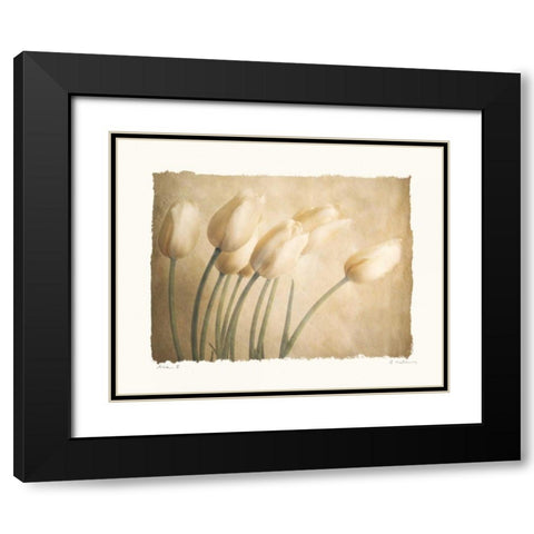 Aria II Black Modern Wood Framed Art Print with Double Matting by Melious, Amy