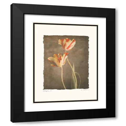 Allegria II Black Modern Wood Framed Art Print with Double Matting by Melious, Amy