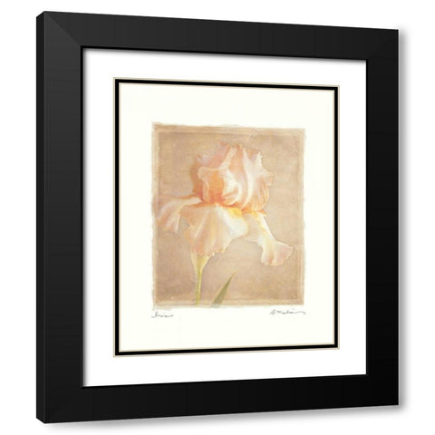 Iris Black Modern Wood Framed Art Print with Double Matting by Melious, Amy
