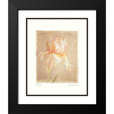 Iris Black Modern Wood Framed Art Print with Double Matting by Melious, Amy