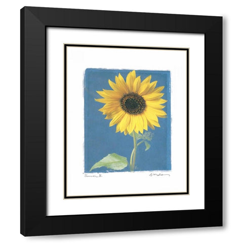 Summer II Black Modern Wood Framed Art Print with Double Matting by Melious, Amy