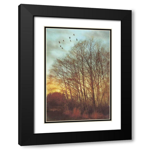 Winter Light II Black Modern Wood Framed Art Print with Double Matting by Melious, Amy