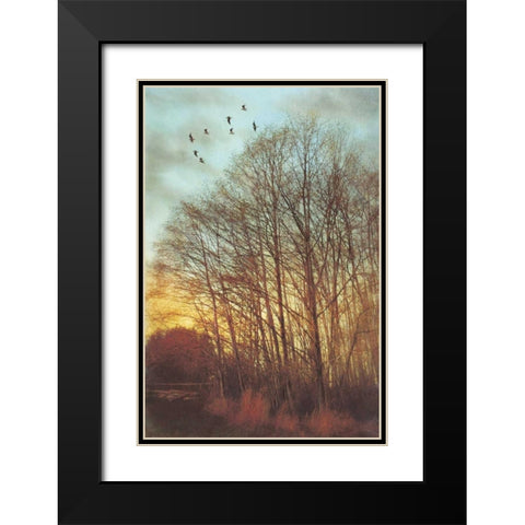 Winter Light II Black Modern Wood Framed Art Print with Double Matting by Melious, Amy