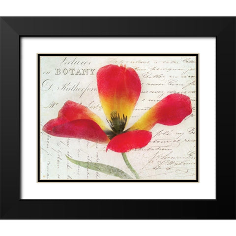 Bloom II Black Modern Wood Framed Art Print with Double Matting by Melious, Amy