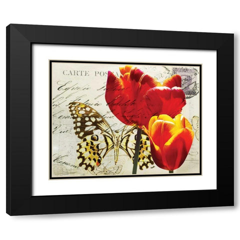 Carte Postale Tulip II Black Modern Wood Framed Art Print with Double Matting by Melious, Amy