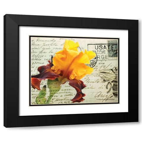Carte Postale Iris Black Modern Wood Framed Art Print with Double Matting by Melious, Amy