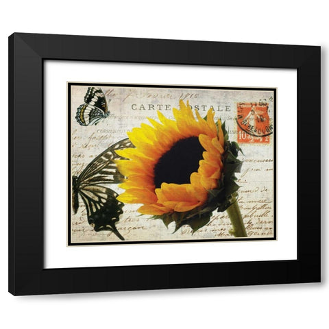 Carte Postale Sunflower Black Modern Wood Framed Art Print with Double Matting by Melious, Amy