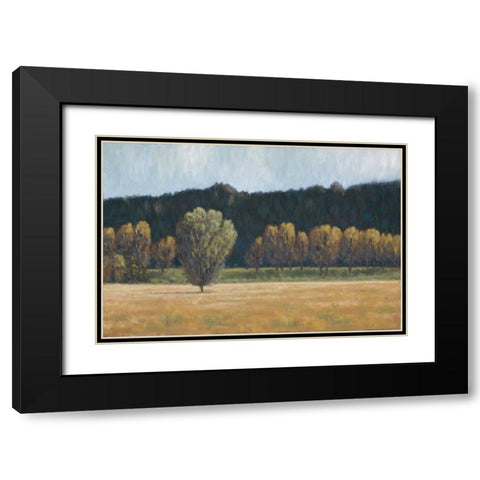 Cottonwood Country I Black Modern Wood Framed Art Print with Double Matting by Macnab, John