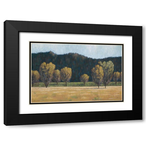 Cottonwood Country II Black Modern Wood Framed Art Print with Double Matting by Macnab, John