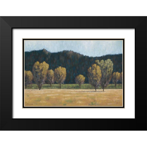 Cottonwood Country II Black Modern Wood Framed Art Print with Double Matting by Macnab, John