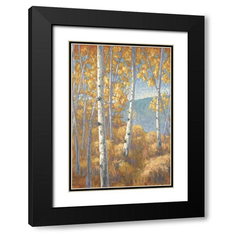 Aspen Forest I Black Modern Wood Framed Art Print with Double Matting by Macnab, John