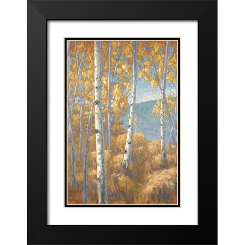 Aspen Forest I Black Modern Wood Framed Art Print with Double Matting by Macnab, John