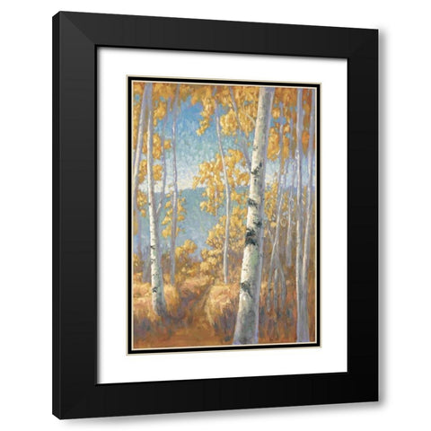 Aspen Forest II Black Modern Wood Framed Art Print with Double Matting by Macnab, John