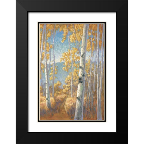 Aspen Forest II Black Modern Wood Framed Art Print with Double Matting by Macnab, John