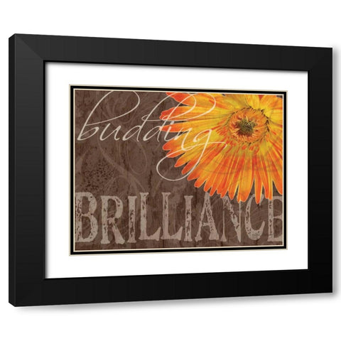 Gerbera II Black Modern Wood Framed Art Print with Double Matting by Murray, Sylvia