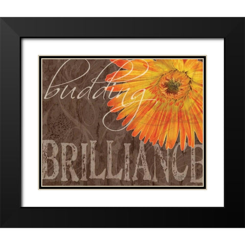 Gerbera II Black Modern Wood Framed Art Print with Double Matting by Murray, Sylvia