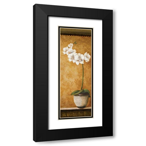 Hannas Orchids II Black Modern Wood Framed Art Print with Double Matting by Osborne, Susan