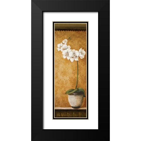 Hannas Orchids II Black Modern Wood Framed Art Print with Double Matting by Osborne, Susan