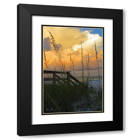 Majestic Coast I Black Modern Wood Framed Art Print with Double Matting by Williams, Alex