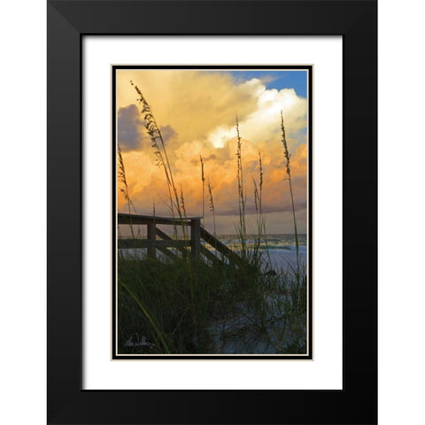 Majestic Coast I Black Modern Wood Framed Art Print with Double Matting by Williams, Alex