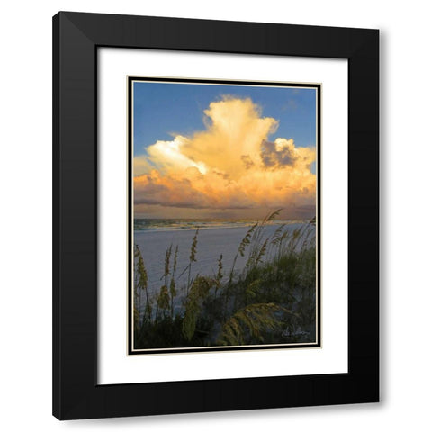 Majestic Coast II Black Modern Wood Framed Art Print with Double Matting by Williams, Alex