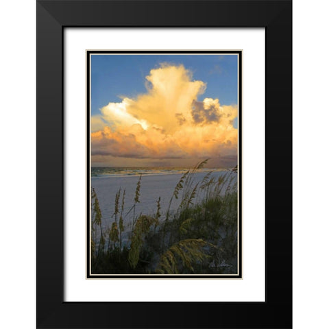 Majestic Coast II Black Modern Wood Framed Art Print with Double Matting by Williams, Alex