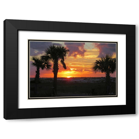Sunset Palms I Black Modern Wood Framed Art Print with Double Matting by Williams, Alex