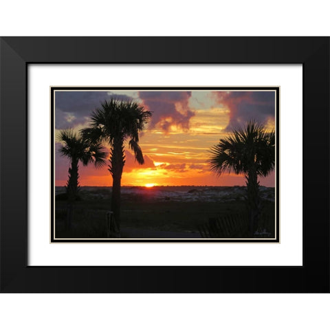 Sunset Palms I Black Modern Wood Framed Art Print with Double Matting by Williams, Alex