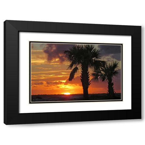 Sunset Palms II Black Modern Wood Framed Art Print with Double Matting by Williams, Alex