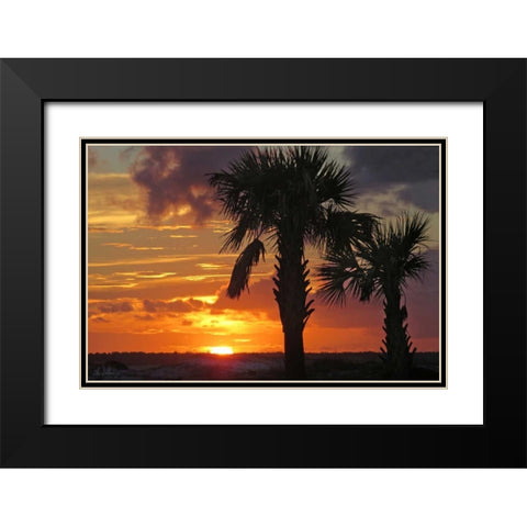 Sunset Palms II Black Modern Wood Framed Art Print with Double Matting by Williams, Alex