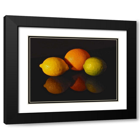 Citrus Reflections Black Modern Wood Framed Art Print with Double Matting by Burkhart, Monika