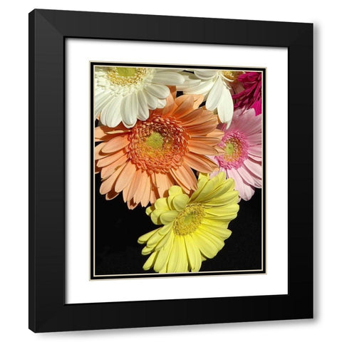 Spring Potpourri III Black Modern Wood Framed Art Print with Double Matting by Burkhart, Monika