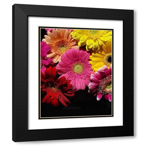 Spring Potpourri IV Black Modern Wood Framed Art Print with Double Matting by Burkhart, Monika