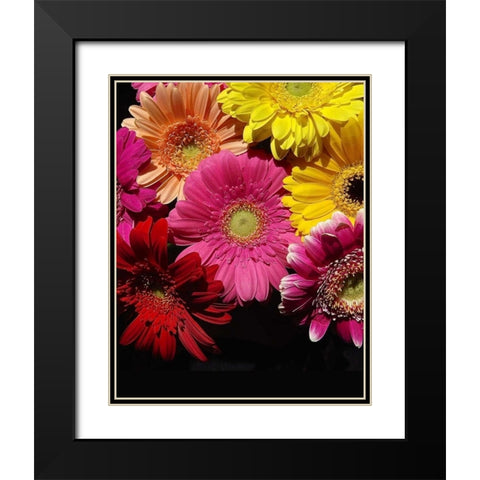 Spring Potpourri IV Black Modern Wood Framed Art Print with Double Matting by Burkhart, Monika