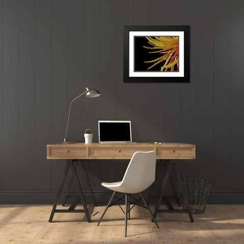 Sun Dance II Black Modern Wood Framed Art Print with Double Matting by Burkhart, Monika